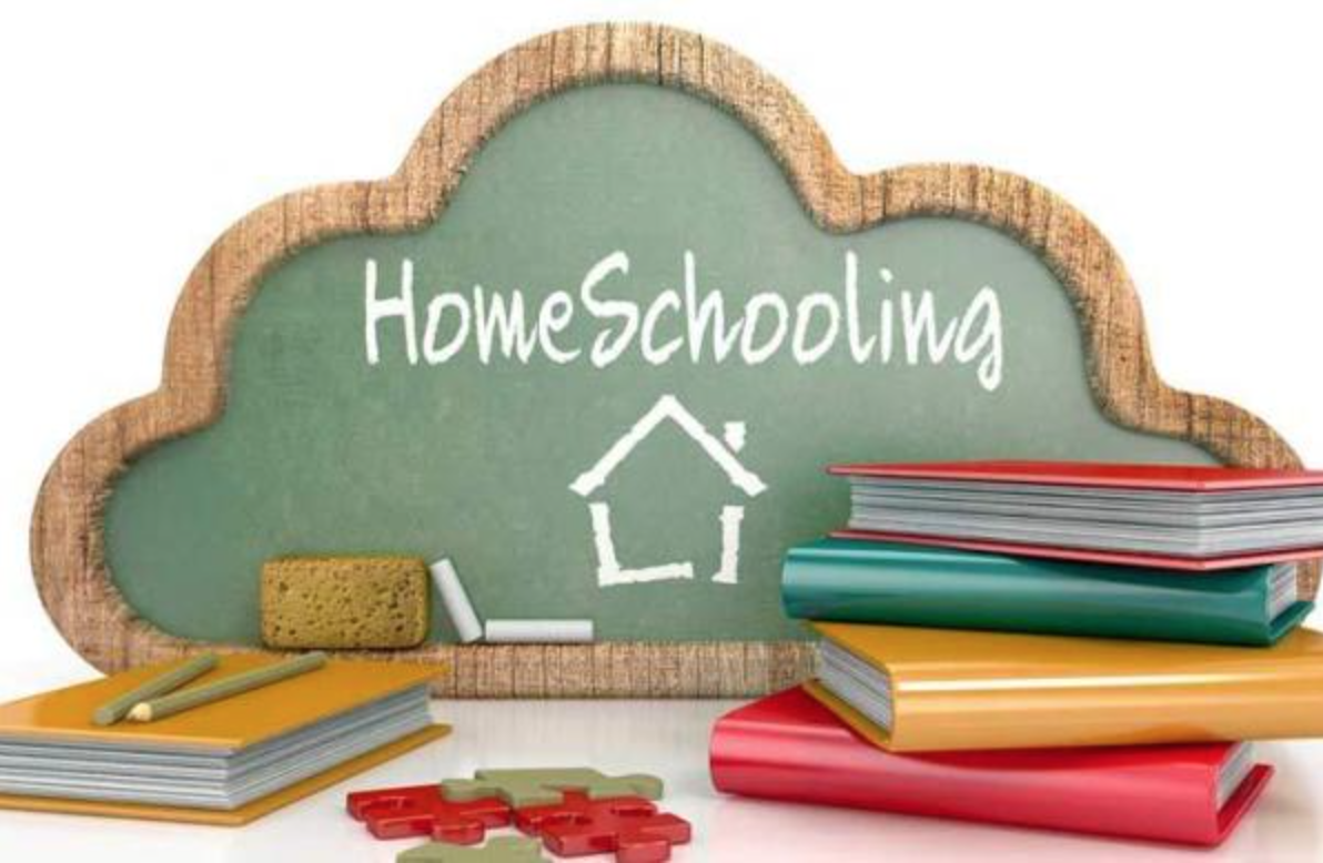 L’Home Schooling in Brasile sempre più in pericolo 1